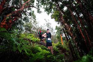 BIB: 
                            <button type="button" onclick="openModal(26202476)" class="btn btn-primary btn-sm float-right btn-popup" data-toggle="modal" data-target=".modal-high-quality">
                        <i class="fas fa-shopping-cart"></i> Add to Cart
                    </button>
                                            <button type="button" onclick="isThisMe(26202476, true)" class="btn btn-success btn-sm float-right btn-popup btn-isme hidden" data-toggle="tooltip" data-placement="bottom" title="นี่คือรูปของคุณใช่ไหม คลิกที่นี่เพื่อเอาเข้าอัลบั้ม">
                        <i class="fas fa-plus"></i> Add to album
                    </button>
                    <button type="button" onclick="isThisMe(26202476, false)" class="btn btn-warning btn-sm float-right btn-popup btn-isnotme hidden">
                        <i class="fas fa-ban"></i> Remove from album
                    </button>